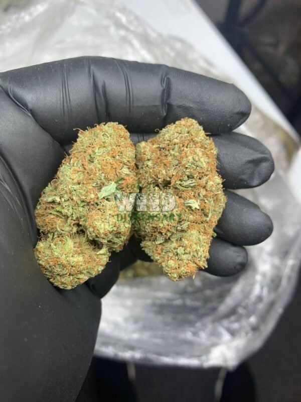 Sour Tangie