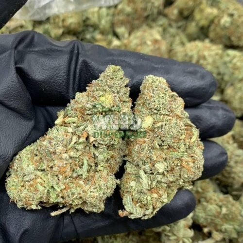 Juicy Jack