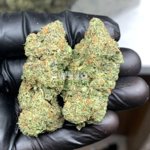 Blueberry Diesel