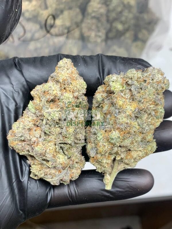 4900022515087288840_121.jpg Cheese Quake strain