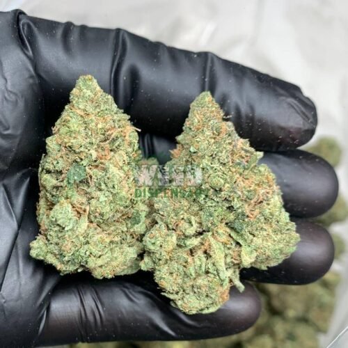 Super Silver Haze