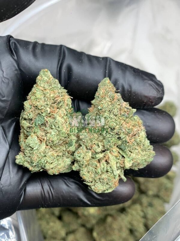 Super Silver Haze