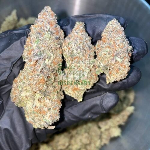 Purple Dream