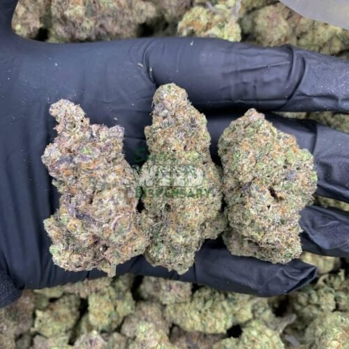 Purple Pineberry
