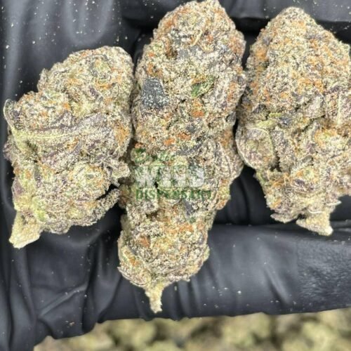Gorilla Glue 4