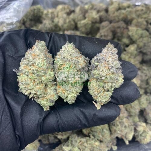 Bubba OG
