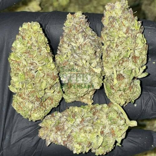 Blue-dream.jpg blue dream strain