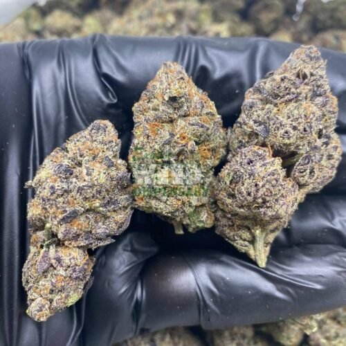 Blueberry kush