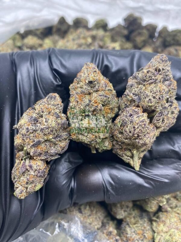 Blueberry kush