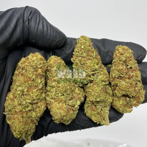 Durban Poison