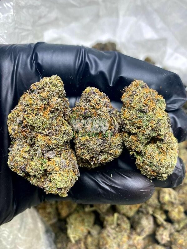 Grease monkey strain