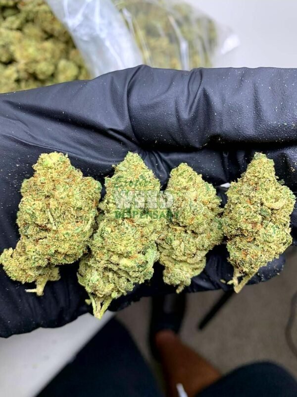 Green crack Strain