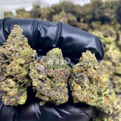 super jack strain