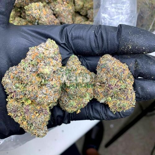 pink cookies strain