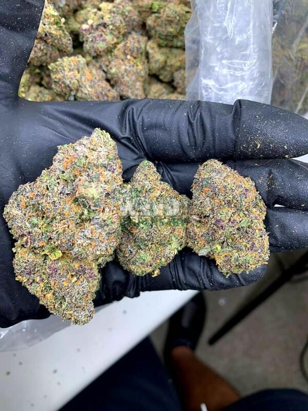 pink cookies strain