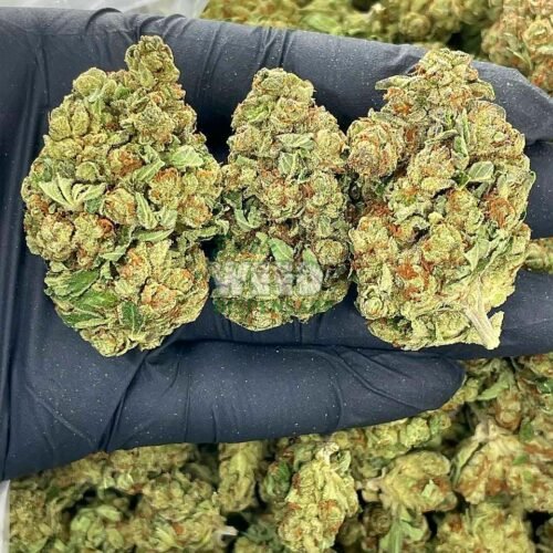 bruce banner weed