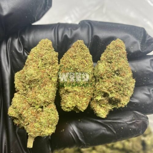 Lemon Skunk