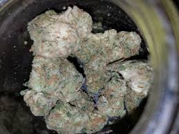 London pound cake strain 75