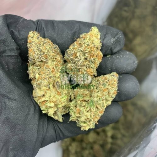 Nuken Strain