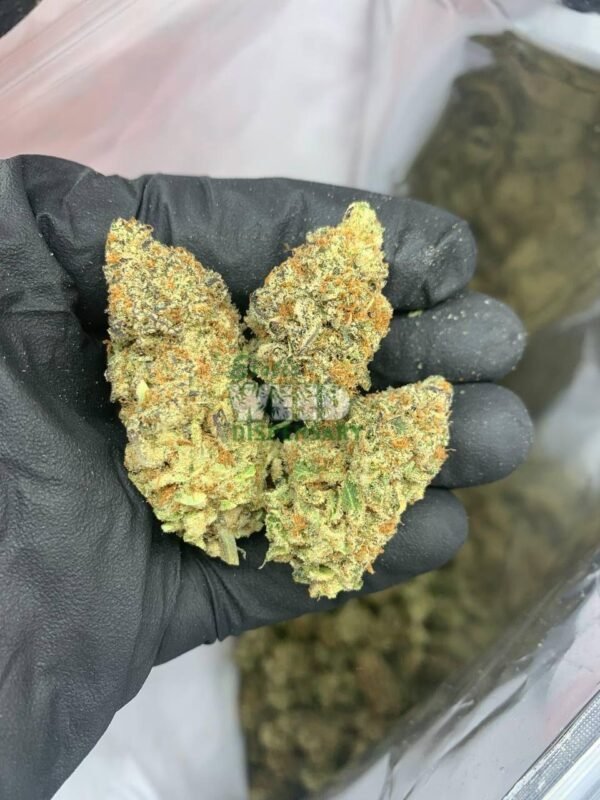Nuken Strain