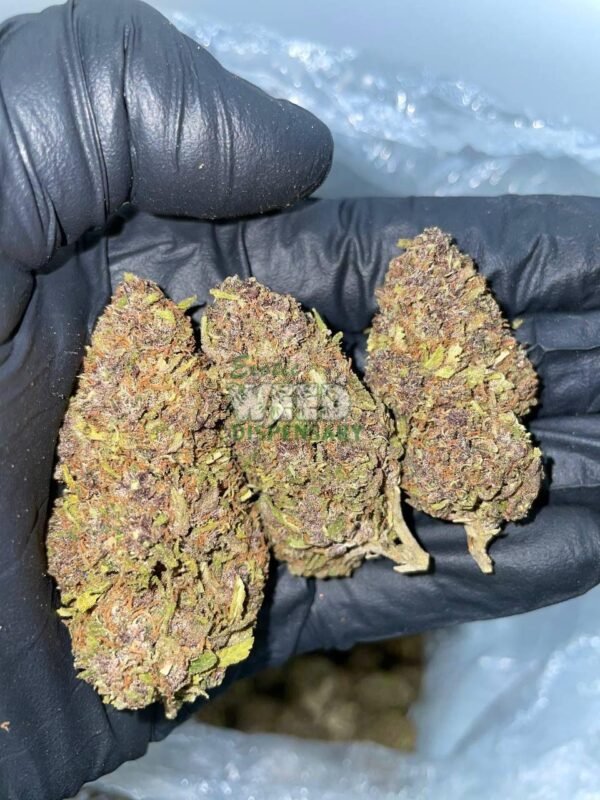 Purple Urkle Strain