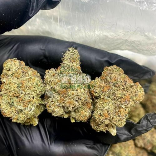 Rockstar OG (Copy)