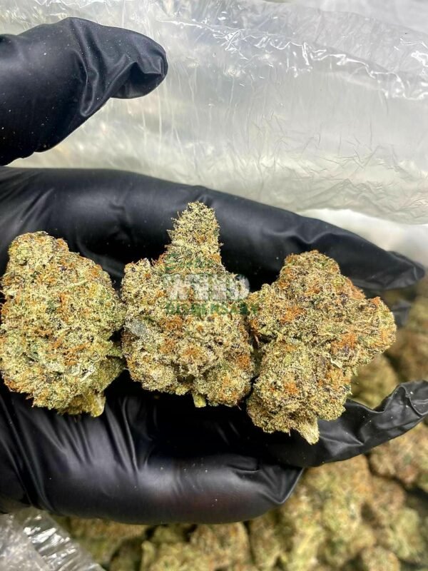 Rockstar OG (Copy)