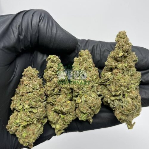 SFV OG Kush