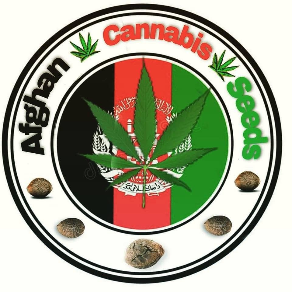 420cannabisnow.com