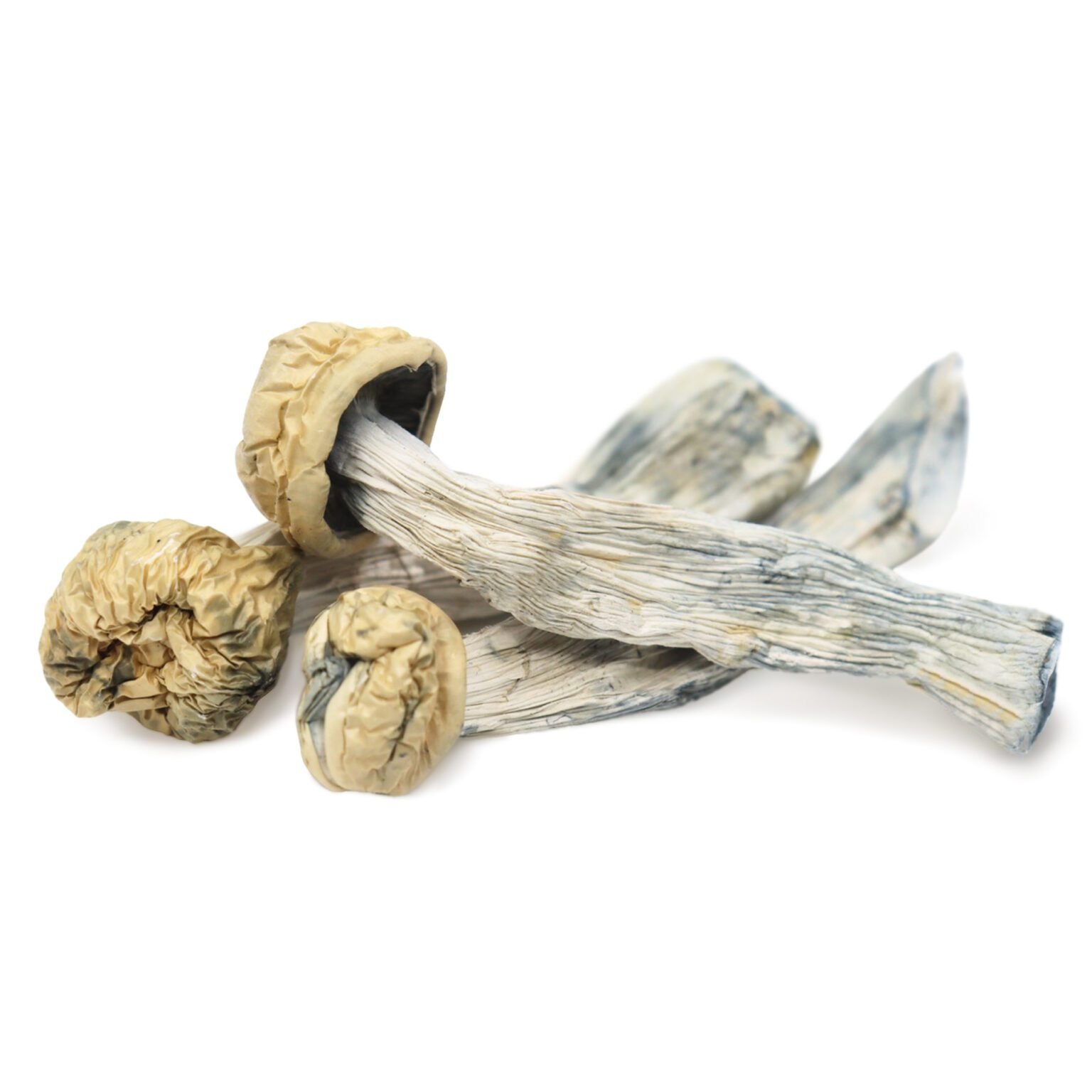 Yeti-Magic-Mushrooms.jpeg Yeti Magic Mushrooms