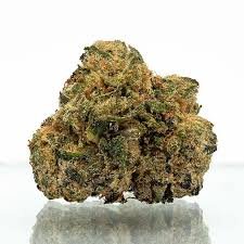 Zerbert strain