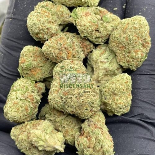 early-skunk.jpg early skunk strain