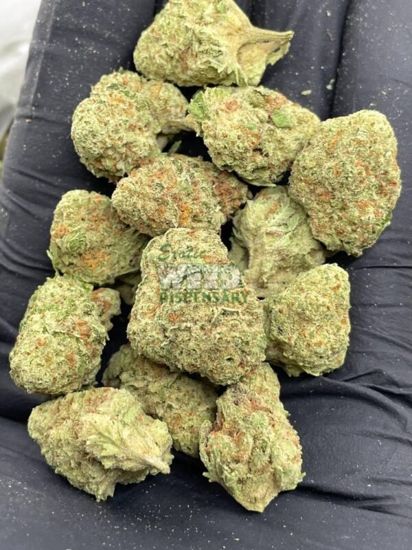 early skunk strain