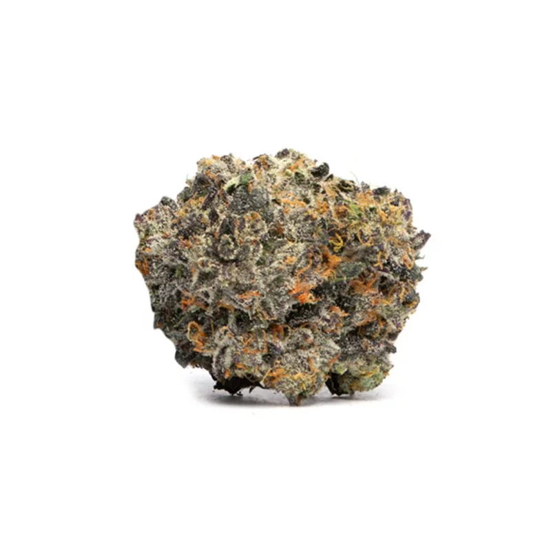 Italian ice strain