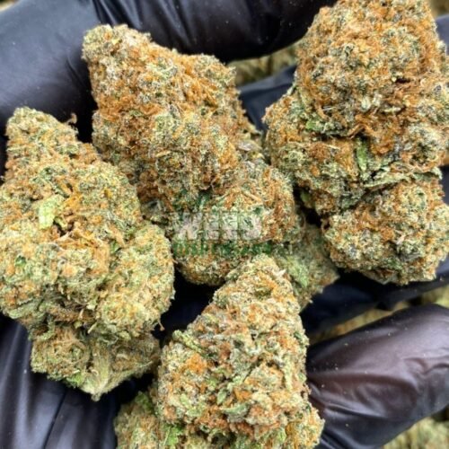 Romulan Strain