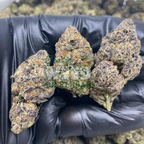 Purple Runtz Strain