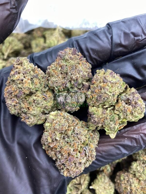 Obama Runtz for sale