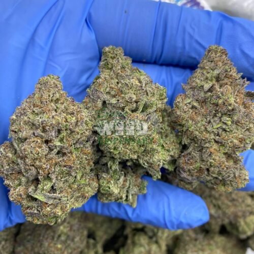 indoor runtz strain
