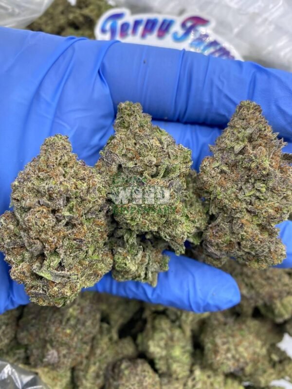indoor runtz strain