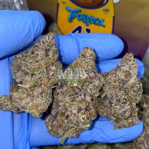 Trufflez Strain
