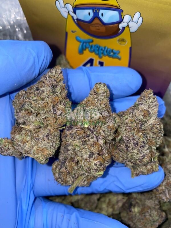 Trufflez Strain