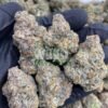 ZaZa weed strain