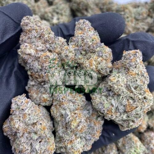 ZaZa weed strain