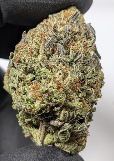 truffle cake strain