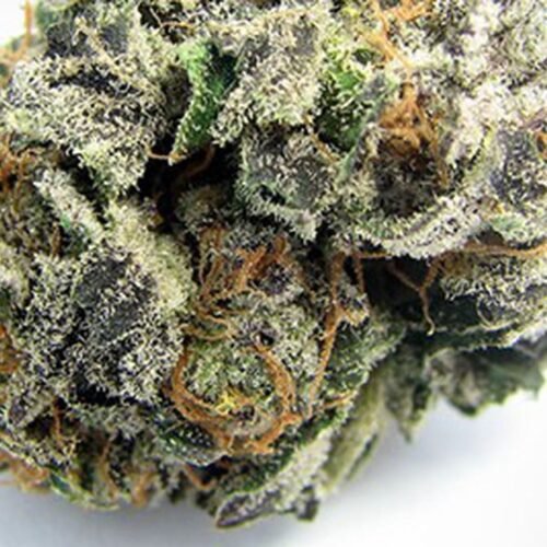 uncle sam og