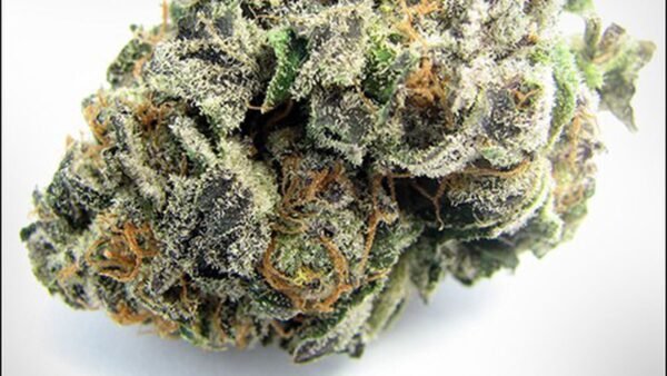 uncle sam og