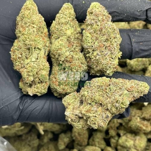 AK 47 Kush