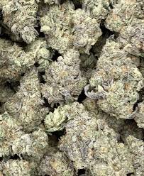 white cherry gelato strain