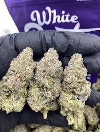 white runtz